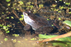 Killikus&reg; Fotographie